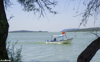 An Afternoon in the Lakeside Village of Gölyazı