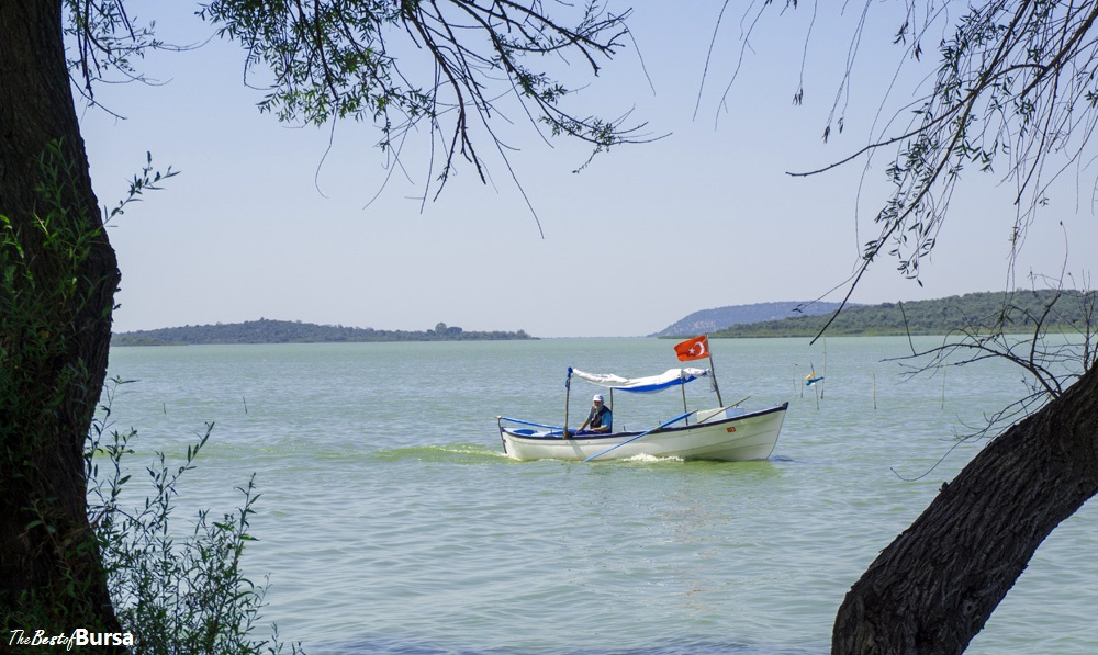 An Afternoon in the Lakeside Village of Gölyazı