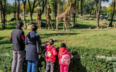 Bursa Attractions for Families with Children