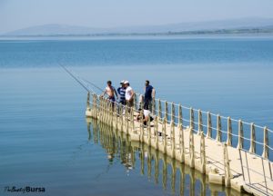 Uluabat Lake, Bursa Turkey