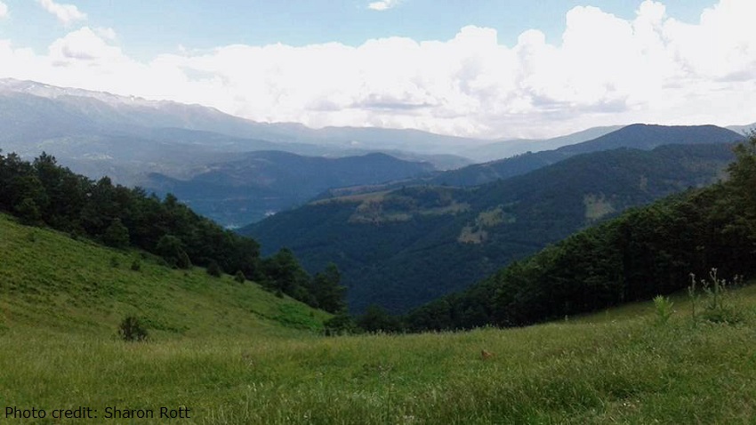 Breakfast, Cherries, and Tea: An Uludağ Adventure