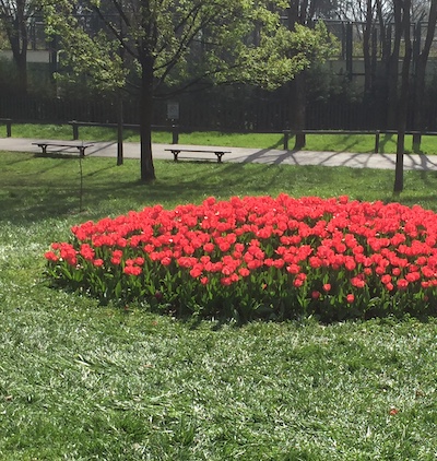 Spring in Bursa | the Best of Bursa