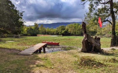 The Flooded Forests of Karacabey