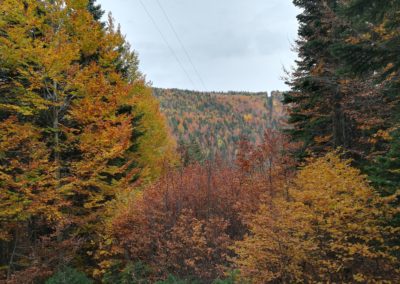 Beyond Zeyniler Hike | The Best of Bursa