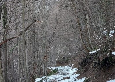 The Water Way Hike | The Best of Bursa