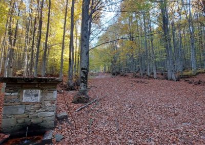 Beyond Zeyniler Hike | The Best of Bursa