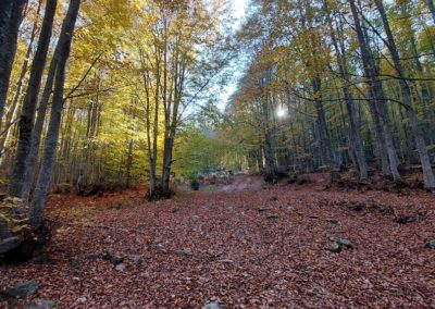 Beyond Zeyniler Hike | The Best of Bursa